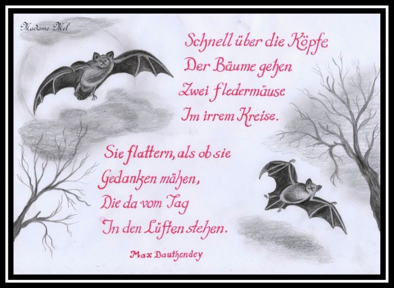 Madame Mel - Kalligrafie_Feldermäuse Madame Mel - Kalligrafie_Feldermäuse