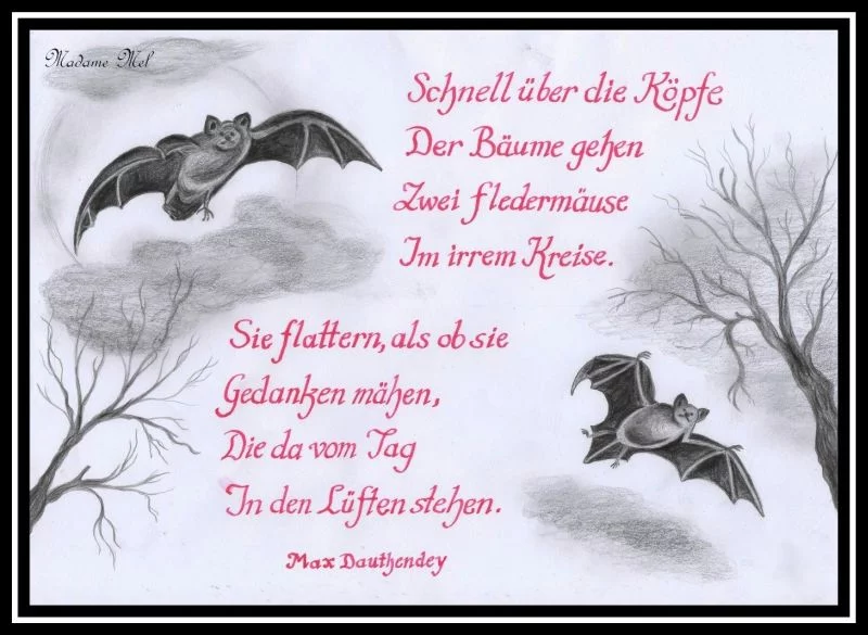 Madame Mel - Kalligrafie_Feldermäuse Madame Mel - Kalligrafie_Feldermäuse