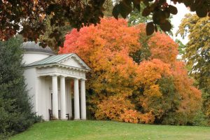 Kew Gardens - Oktober 2013 (8)