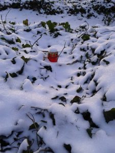 Friedhof Grunewald - Grablicht