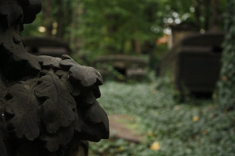 Gräber im Dornröschenschlaf – Eliasfriedhof Dresden