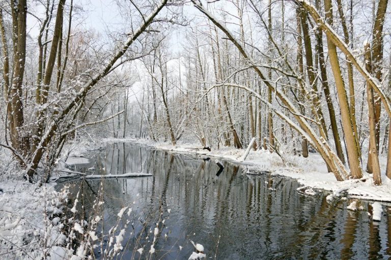 Tegeler Fließ im Winter
