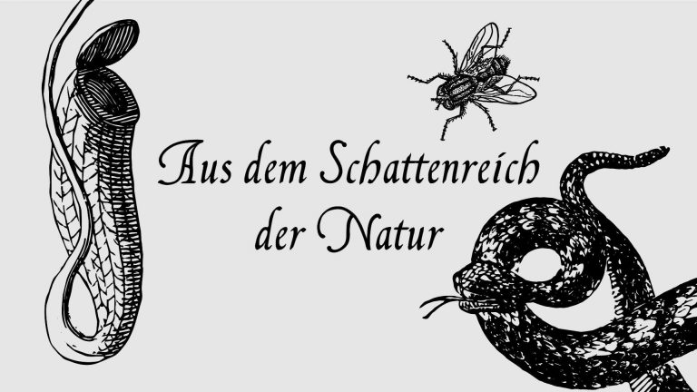 Schattenreich der Natur