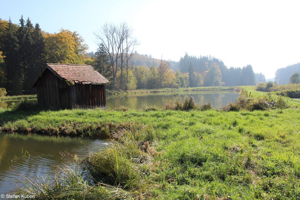 Waldromantik - Naturpark Augsburg