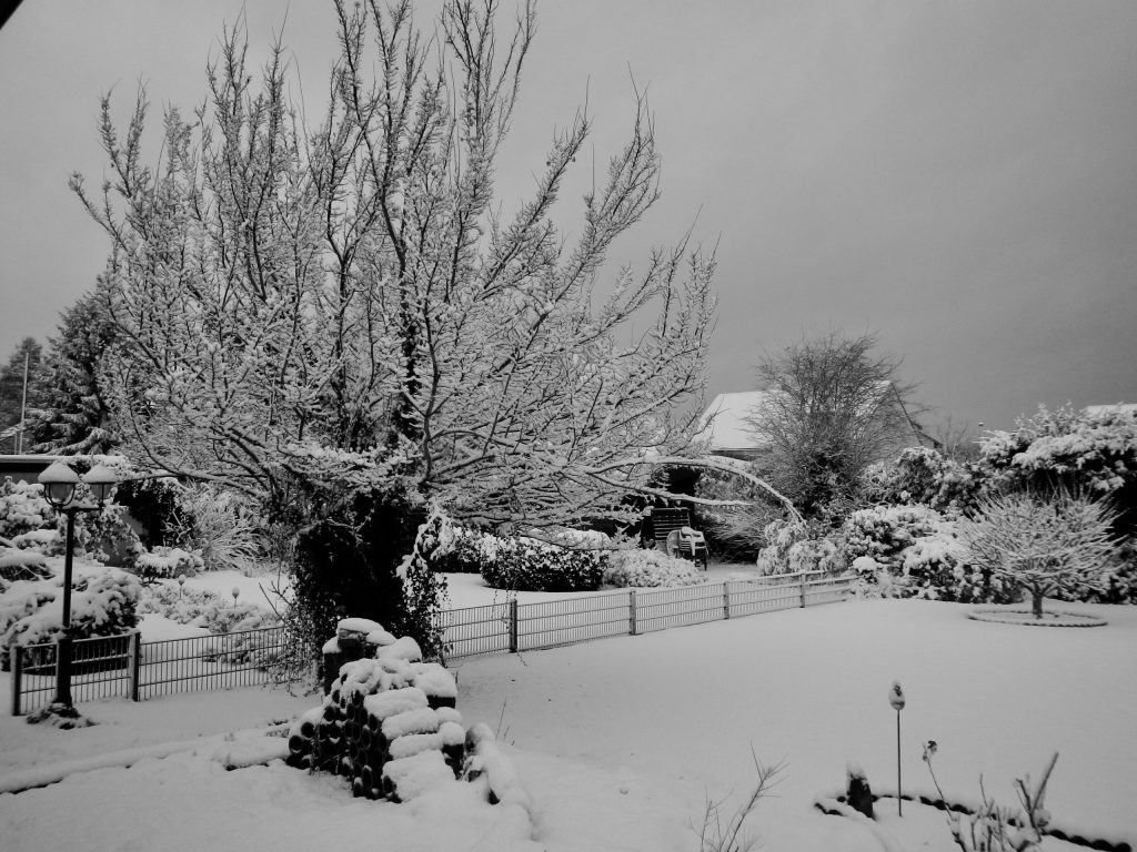 Winter im Garten