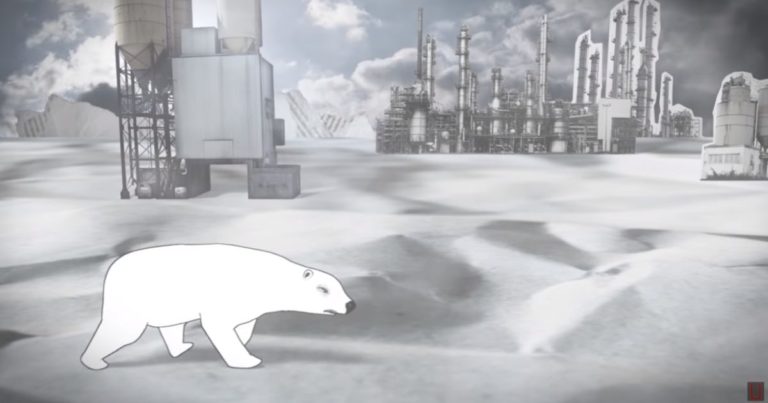 Grauzones Eisbär wird bald 40 – Ob er immer noch nicht weinen muss?