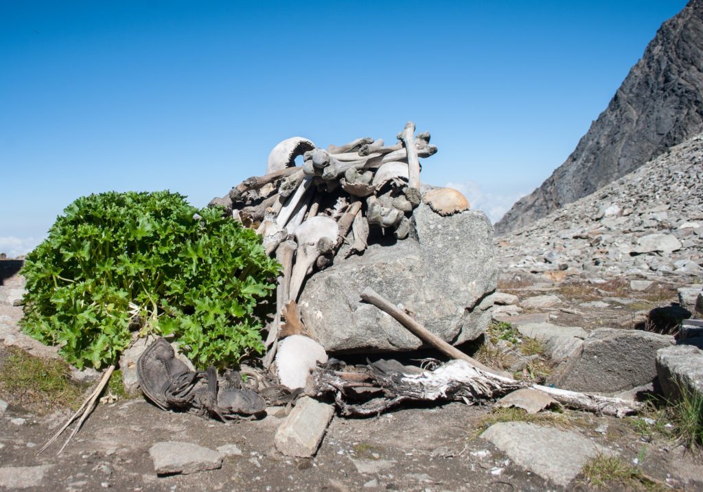 Roopkund Himalaya