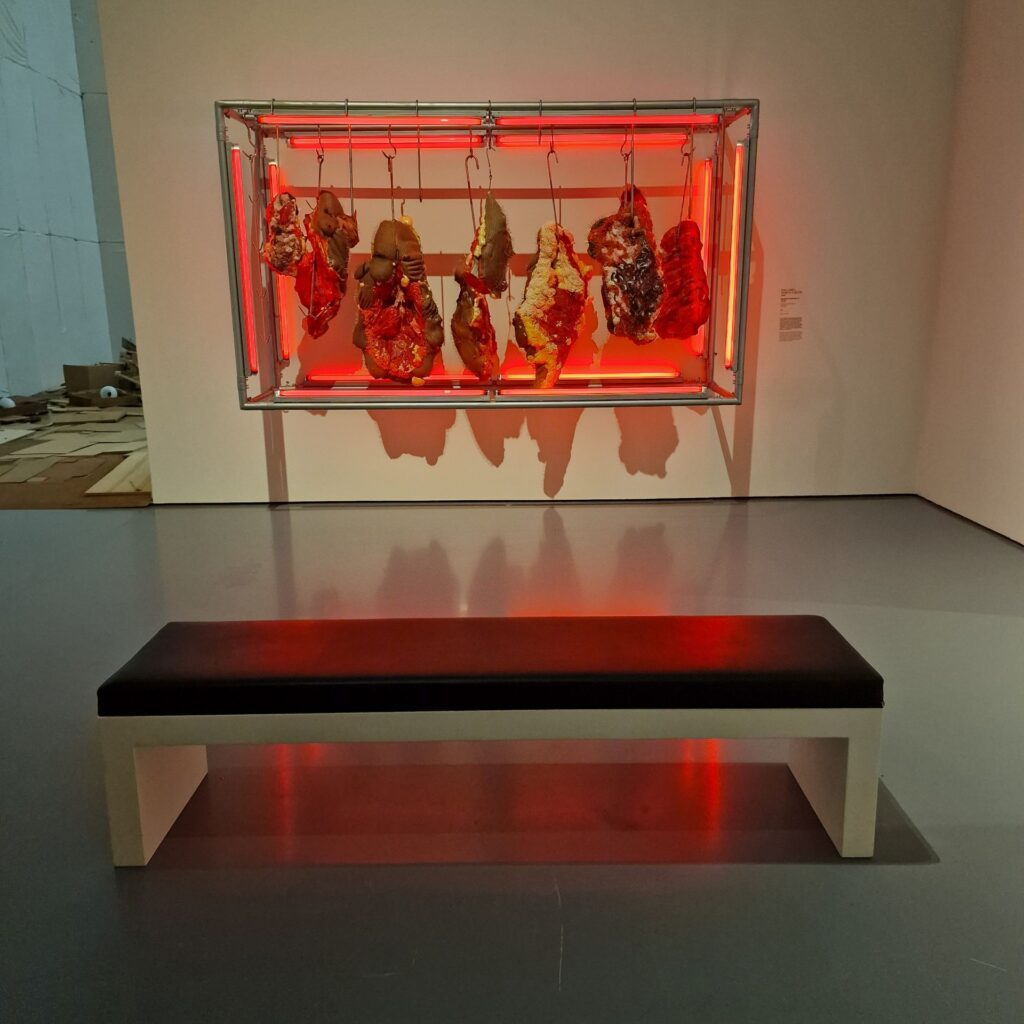 Fleischstücke als Kunst, aber aus Textilien hergestellt
