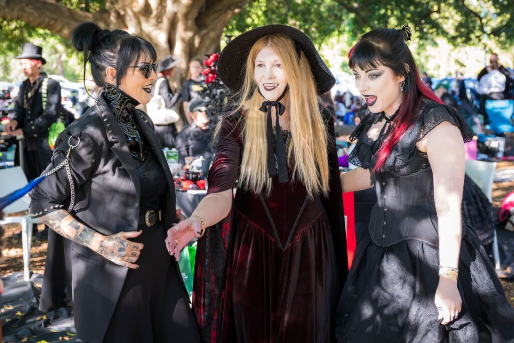 Brisbane Gothic And Alternative Picnic 2024