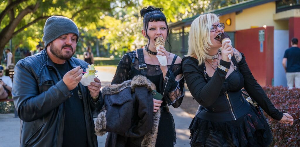 Brisbane Gothic And Alternative Picnic 2024