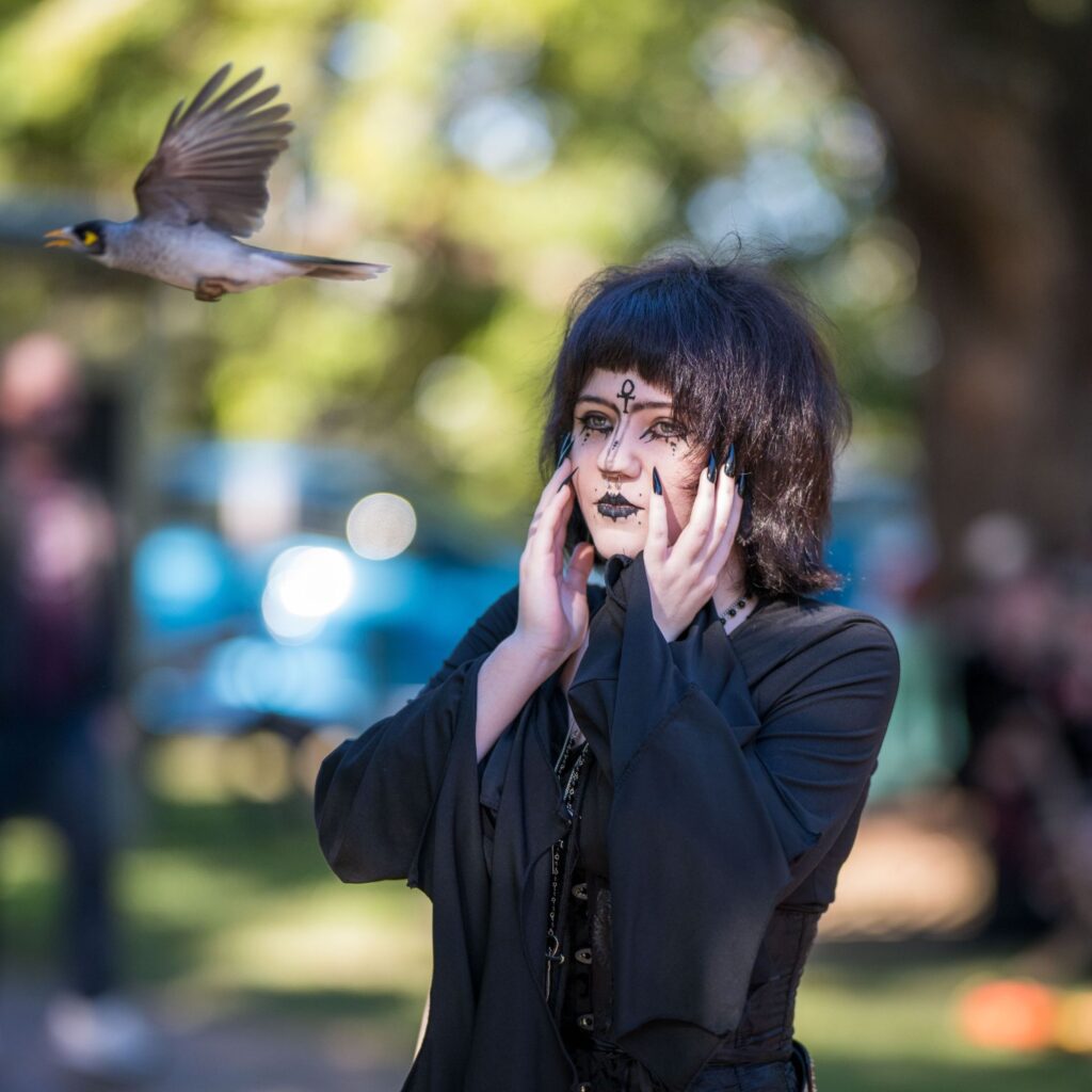Brisbane Gothic And Alternative Picnic 2024