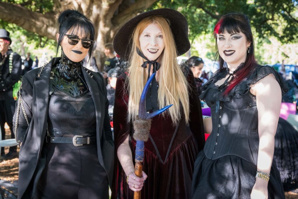 Brisbane Gothic And Alternative Picnic 2024