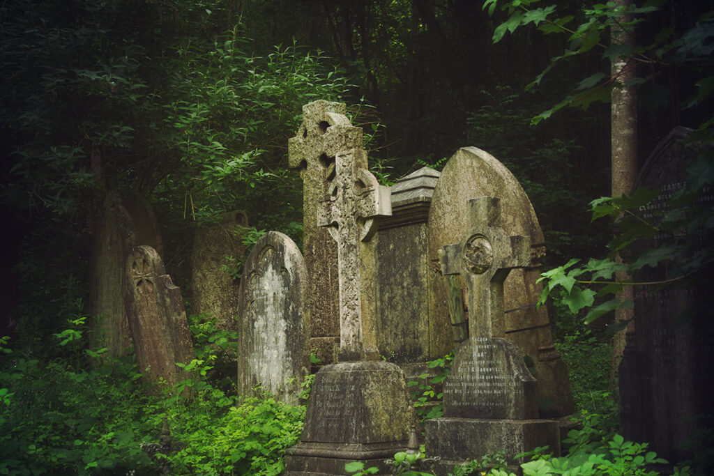 Vampyresque 2015