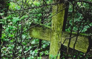 Ein verwittertes Holzkreuz, umgeben von dichten Pflanzen und Ästen in einem Waldgebiet.